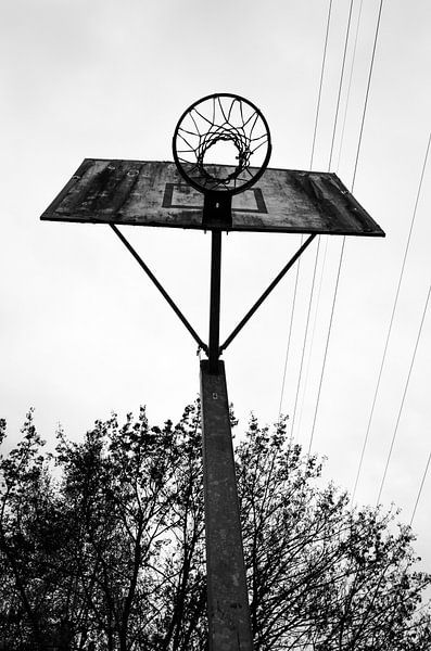 Basketbalring van Eline Willekens