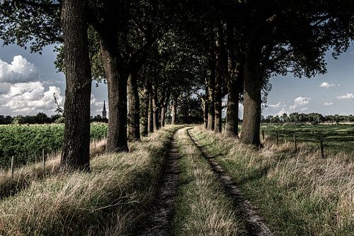 Landschappen in Drente