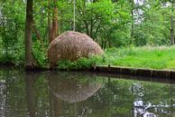 Strohhaufen im Spreewald von Ingo Laue Miniaturansicht