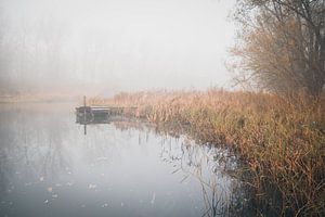 paix et tranquillité dans le Biesbosch