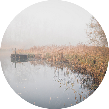 stilte en rust in de Biesbosch