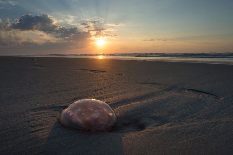 Waiting at the beach by Waterpieper Fotografie