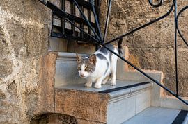 Serenity in the old town by Karsten Rahn