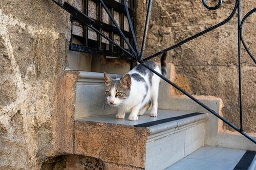 Gelassenheit in der Altstadt