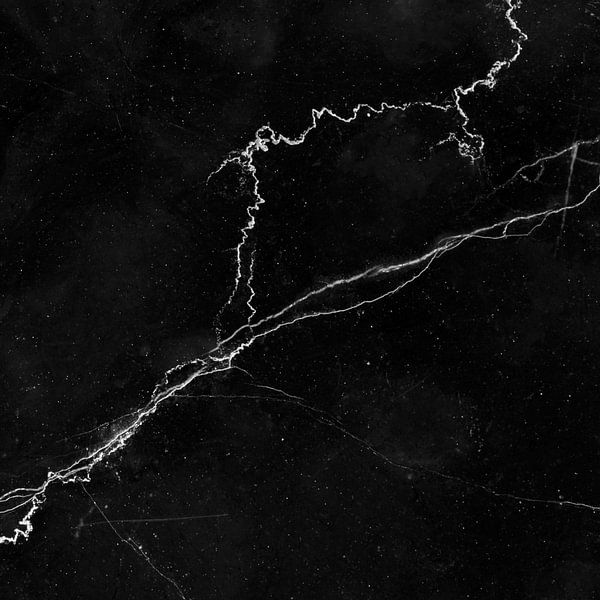 MARBLE BLACK &amp; WHITE v1 by Pia Schneider