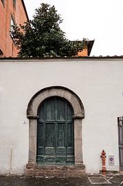 Door in Lucca by Pasquale Langerak