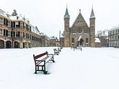 Het Binnenhof in de winter van OCEANVOLTA thumbnail