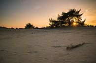 Sonnenuntergang auf dem Sanddrift des Aekingerzand von Martzen Fotografie Miniaturansicht