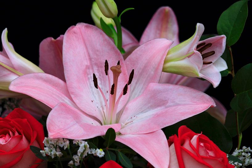 Splendid by Thomas Jäger