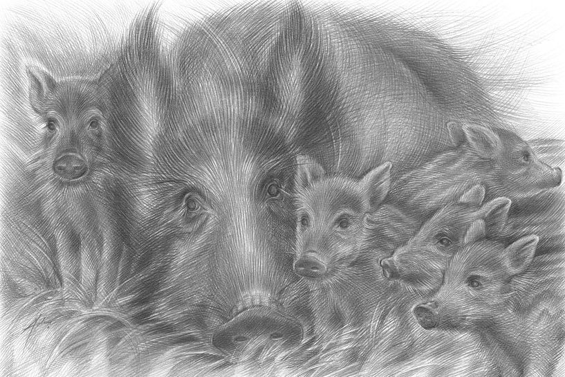 Wild boar family in the forest by Adriana Müller