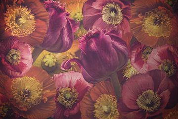 Tulpen und Mohnblumen von Marina de Wit