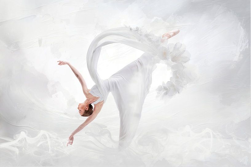 ballet tänzerin von Armin Mumper