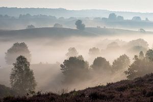 Brouillard terrestre à la Posbank