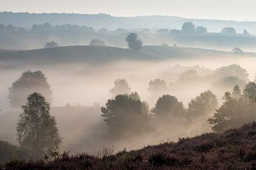 Ground Fog at the Posbank by Martin Bredewold