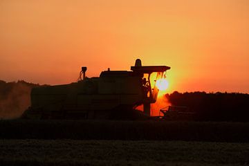 Wheat harvest by Photoned