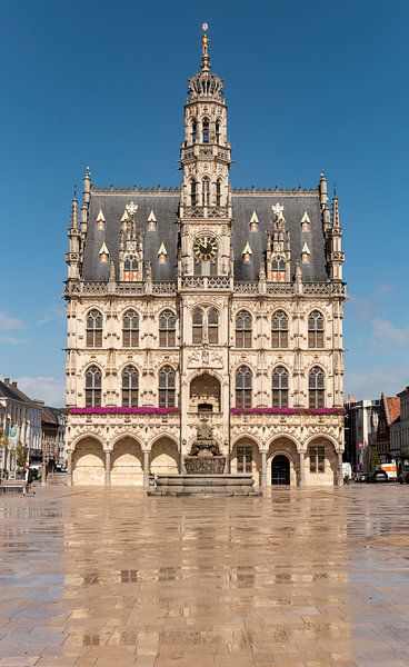 Oudenaarde Stadhuis van Richard Wareham