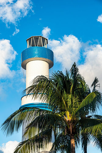 Palme und Leuchtturm von Dieter Walther