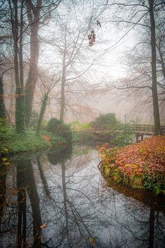 Fairytale forest by Dirk van Egmond