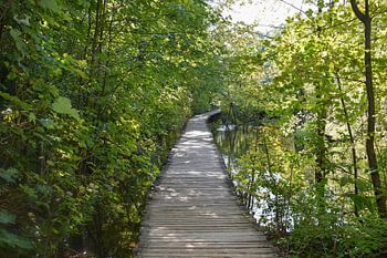 Perspektive in schöner Landschaft Kroatiens