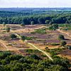 Die Hoorneboeg-Heide aus der Luft [08] von Frank Maters