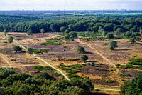 De Hoorneboegse Heide vanuit de lucht [08]