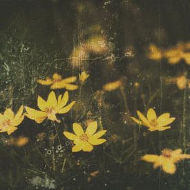 'De Gele Bloemen' van Jacques Vledder