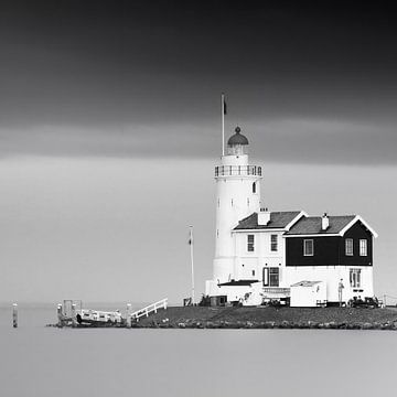 Horse of Marken in black and white, Netherlands