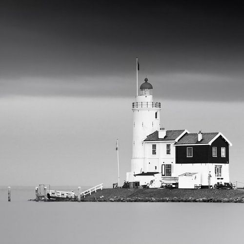 Paard van Marken in zwart-wit, Nederland