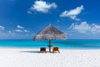 Parasol