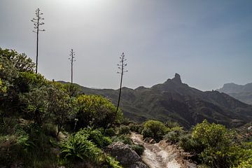 Zonsondergang in Gran Canaria, Cruz de Tejeda. van Marjolein Zijlstra