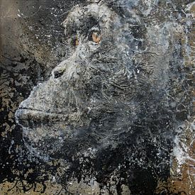 Chimpanzé sur Peter van Loenhout