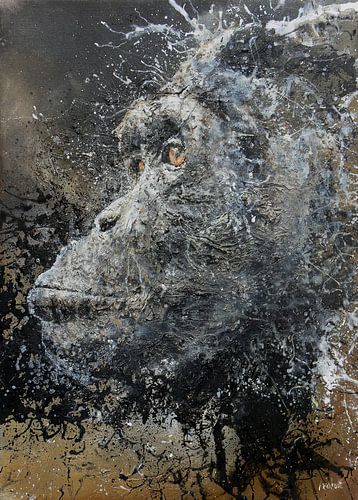 Chimpanzé sur Peter van Loenhout