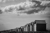 Strandcabines zwart wit Cayeux-sur-Mer, Frankrijk
