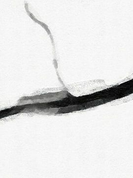 Minimalistisch zwart-wit D3 van Menega Sabidussi