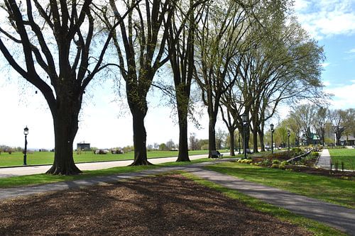 Het vlaktenpark van Abraham in de lente