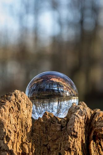 Door een glazen bal #1