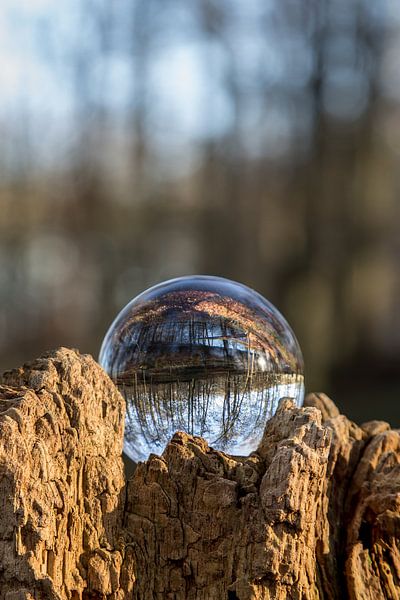 Door een glazen bal #1 by Robert Wiggers