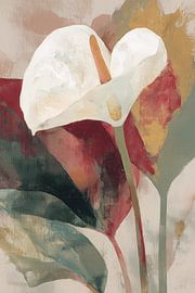 Anthurium in Soft Focus