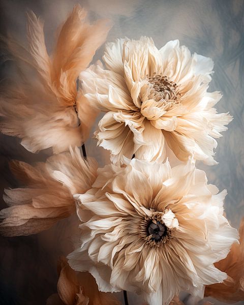 Fringe II by Jacky