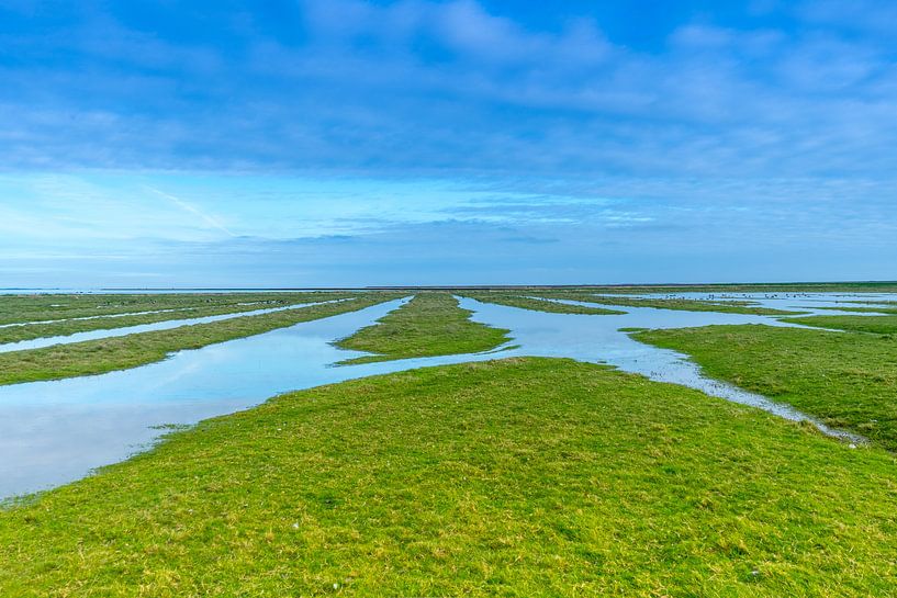 Rest - Wadden Sea near Paesens-Moddergat by Norbert Versteeg