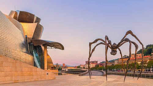 The Guggenheim Museum, Bilbao by Henk Meijer Photography
