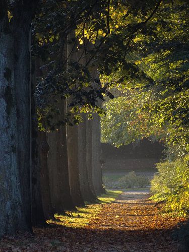 De Goffert in Nijmegen. van Henk Egbertzen