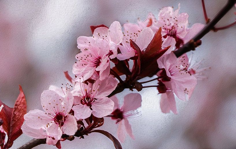Blüte mit Öleffekt von Marga Vroom