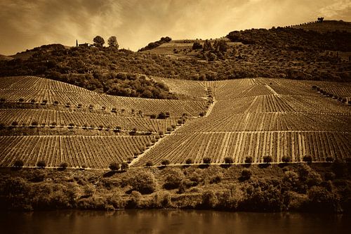 Vallée du Douro - Portugal