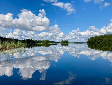 Der See als Spiegel während einer Kanufahrt in Växjö von Nicolette Suijkerbuijk Fotografie