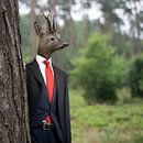 Monsieur Deer van Peter Hermus thumbnail