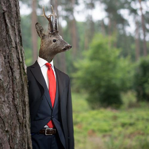 Monsieur Deer