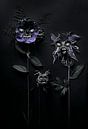 Les Fleurs du Mal. von Sandor Ploegman-Stam Miniaturansicht