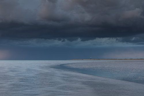 Summer in Zeeland!