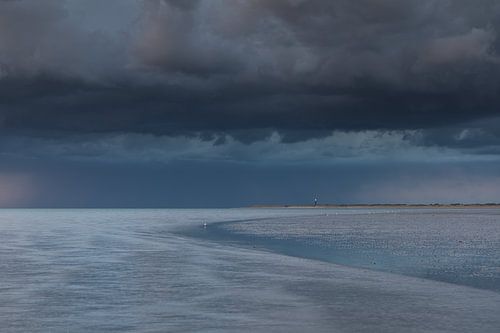 Zomer in Zeeland!